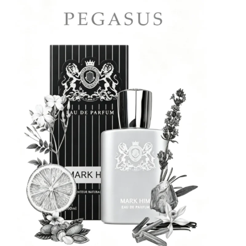 100ml MARK HIM Men Perfume Long-wearing Magnetic Masculine Fragrance Metallic Gray Cologne Vaporisateur Spray Dating Romantic Night view 4