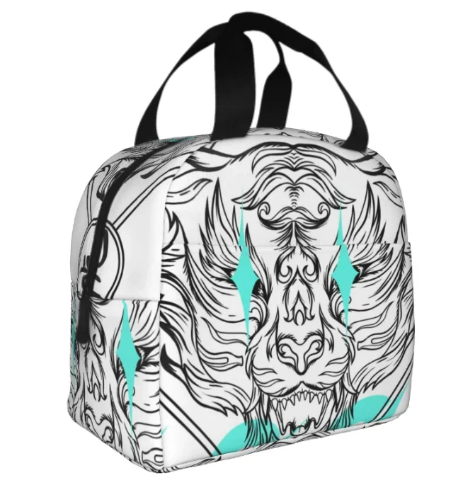 

Lunch Bag for Women Men Insulated Lunch Box Reusable Organizer Waterproof Holder Cooler Tote Bag