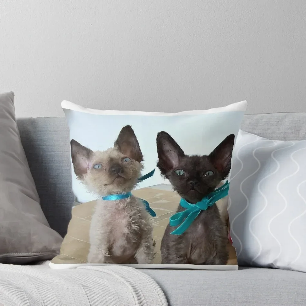 

Devon Rex Cat Kitten 006 Throw Pillow Custom Cushion Photo Decorative Cushions For Luxury Sofa Pillow