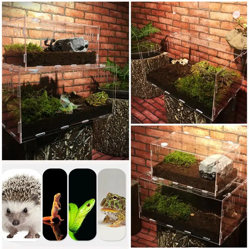 Imagem -03 - Reptile Box Reptile Terrarium Prático Acrílico Transparente Reptile Pets Pet Supplies Animais de Sangue Frio Decoração Terrário Acrílico Terrário Aquaterrario para Tartaruga Aquario Tartaruga Grande Repteis