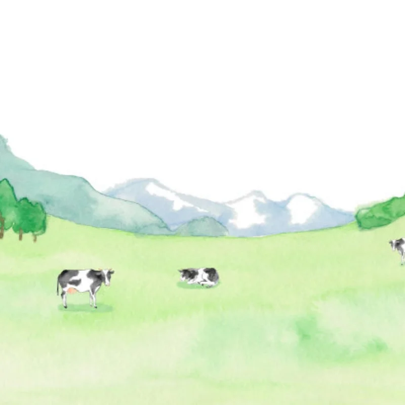 Buzina de braço servo RC de alumínio 25T para ferramentas RC de potência Futaba Savox Xcore HL HSP HD