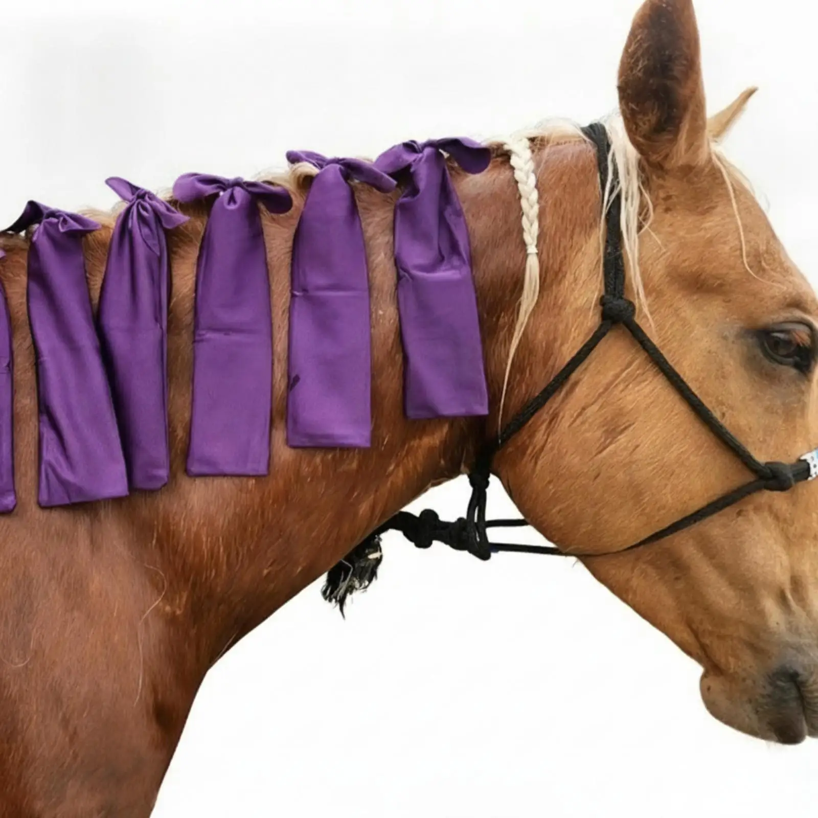 Equestrian Horse Mane Cover Protector for Outdoor Elements Lightweight Soft Sleeve Tie Top Secure Attachment Maintain Clean Neat