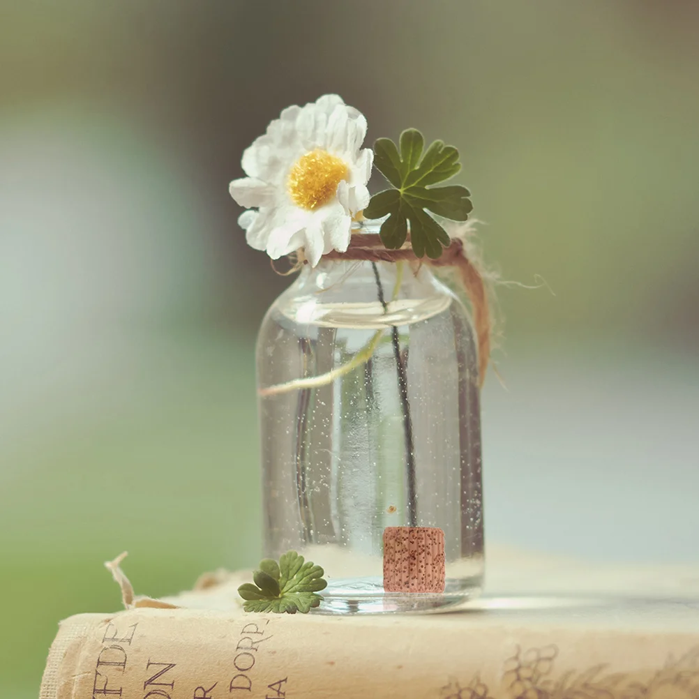 

12Pcs Water Grass Fixed Ring Pottery Aquarium Plant Holder Heavy Duty Fish Tank Landscape Decoration Ring for Underwater Plants