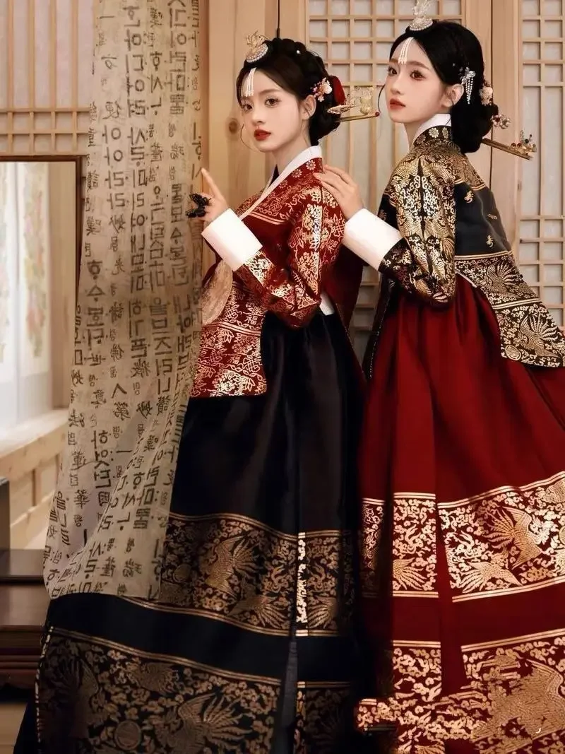 Nouveau haut de gamme Yanji coréen princesse palais coréen Hanbok ethnique Performance robe voyage photographie vêtements