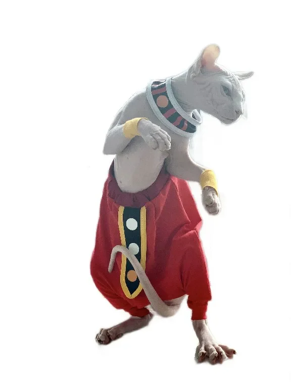 Handmade Sphinx Cosplay Costumes Hairless Cat Clothes God of Destruction Crotch-Proof Trousers Dropshipping Cat Clothes