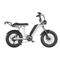 KICKWEY S1 Electric Bicycle 750W Motor 48V16AH All-Terrain Electric Bike 20*4 Inch Wide Tire EBike