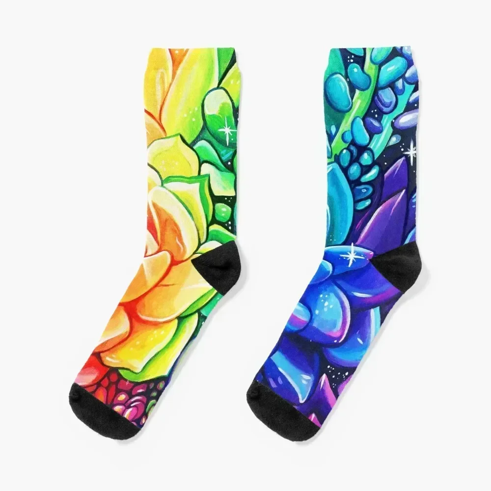 Rainbow Succulents - Acrylic Painting Socks luxe bright garter Socks Man Women's