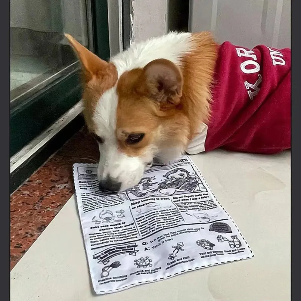 1 Stück reißfestes quietschendes Hundespielzeug – simulierte Zeitung, zähnenbeständiges interaktives Spielzeug für Corgi/Teddy/Welpe