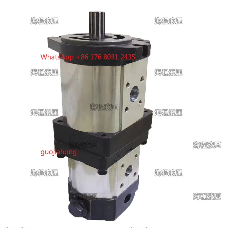 

1804 2004 Supporting double pump, special hydraulic oil pump for agricultural machinery