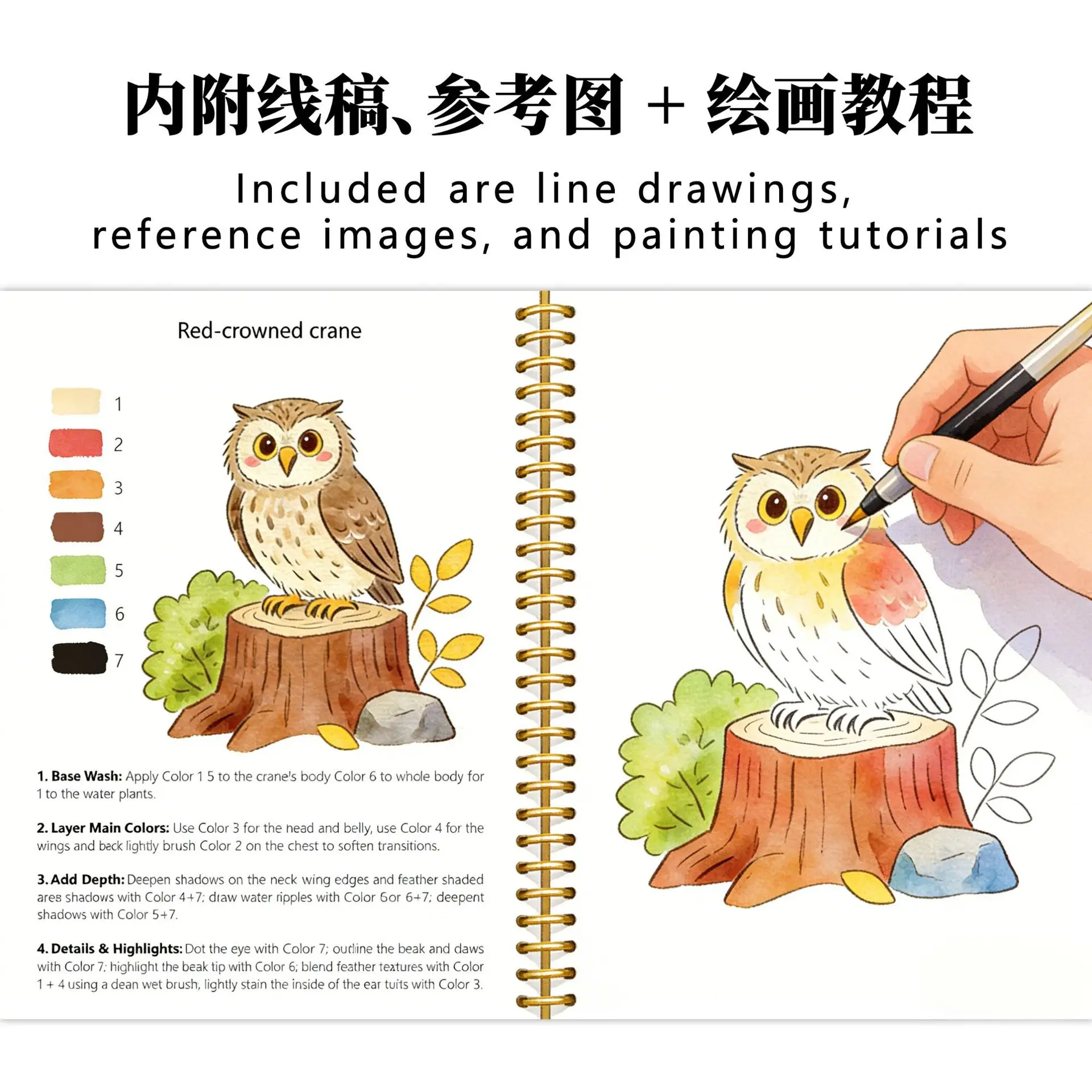 Watercolor Workbook Watercolor Workbook Animal Watercolor Book