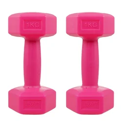 Cement plastic dumbbell home use dumbbells 1kg 2kg 3kg 4kg 6kg 8kg 10kg weight lifting gym fitness equipment