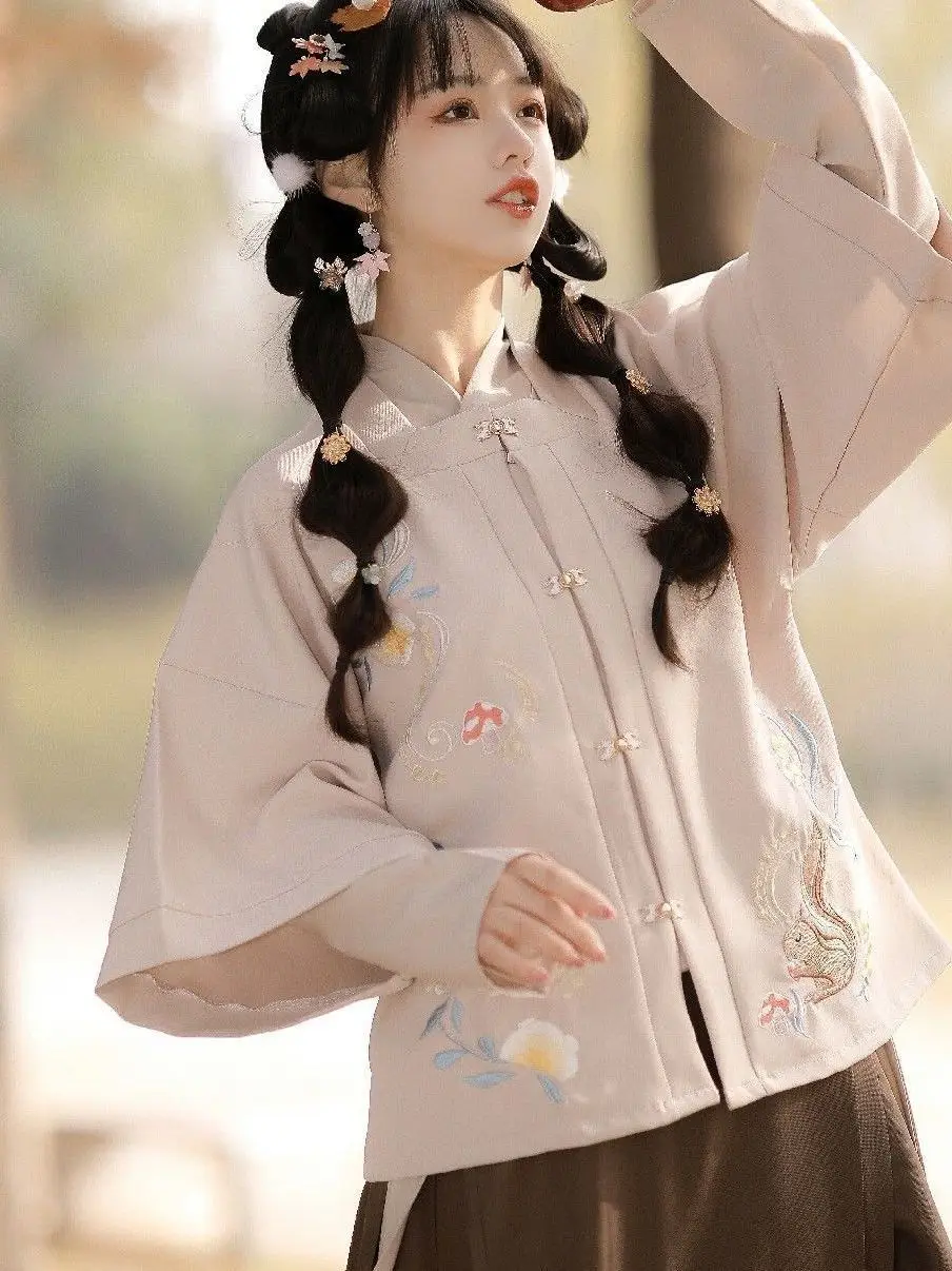 Ming Style Square Neckline Half Sleeved Hanfu Autumn And Winter Ponytail Skirt Dress Chinese Traditional Costume