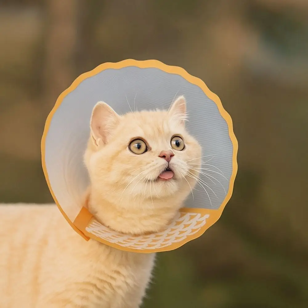 

Adjustable Pet Recovery Collar Anti-Chew Anti-Scratching Dog Anti-Bite Collar Anti-Lick Breathable Cat Protective Collar