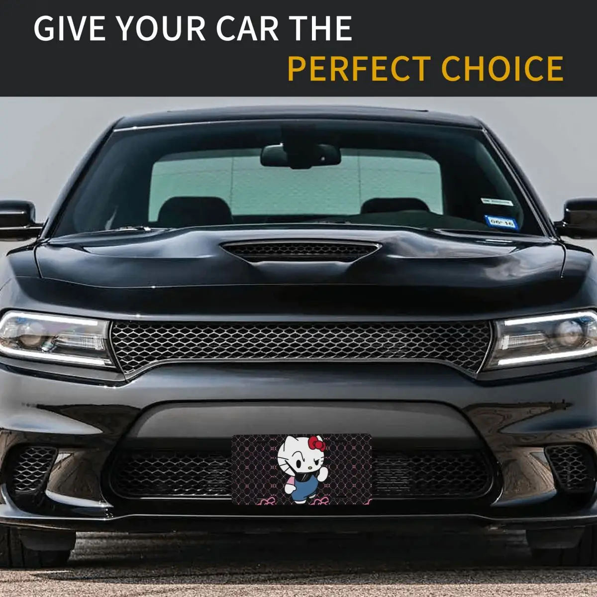 مخصص مرحبا كيتي لوحة ترخيص الجدة الكرتون ديكور سيارة الجبهة لوحة ترخيص الألومنيوم معدن تسجيل الغرور العلامة 6X12 بوصة