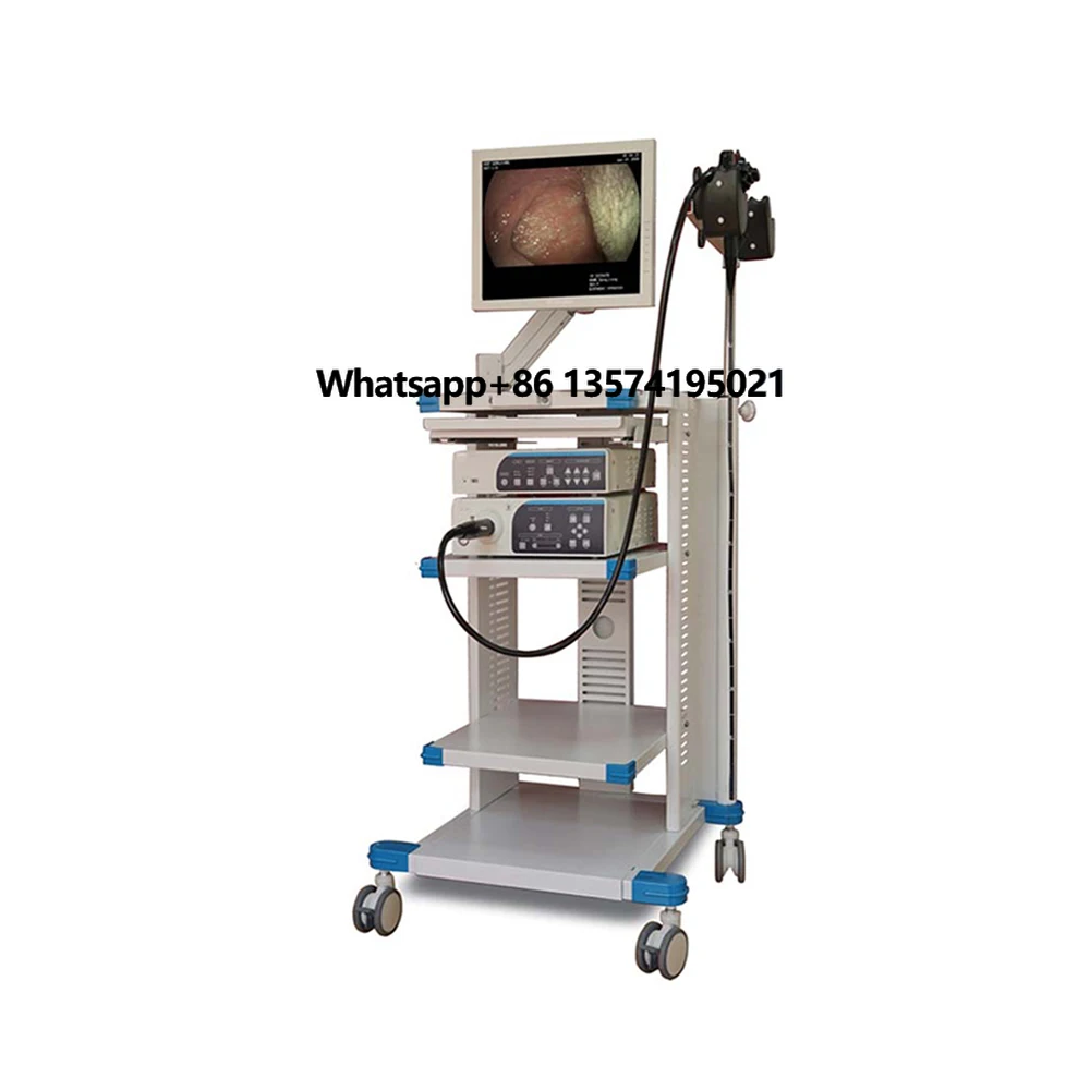 

Medical Endoscope Video Gastroscopy And Colonoscopy System Veterinary Rigid Endoscope with Working Channel