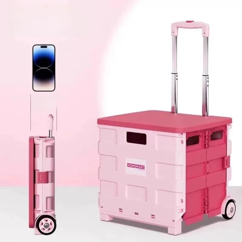 屋外キャンプ用ポータブル収納ボックス、ハンドル付き、伸縮式ステンレス製ショッピングカート、野菜購入や学生用
