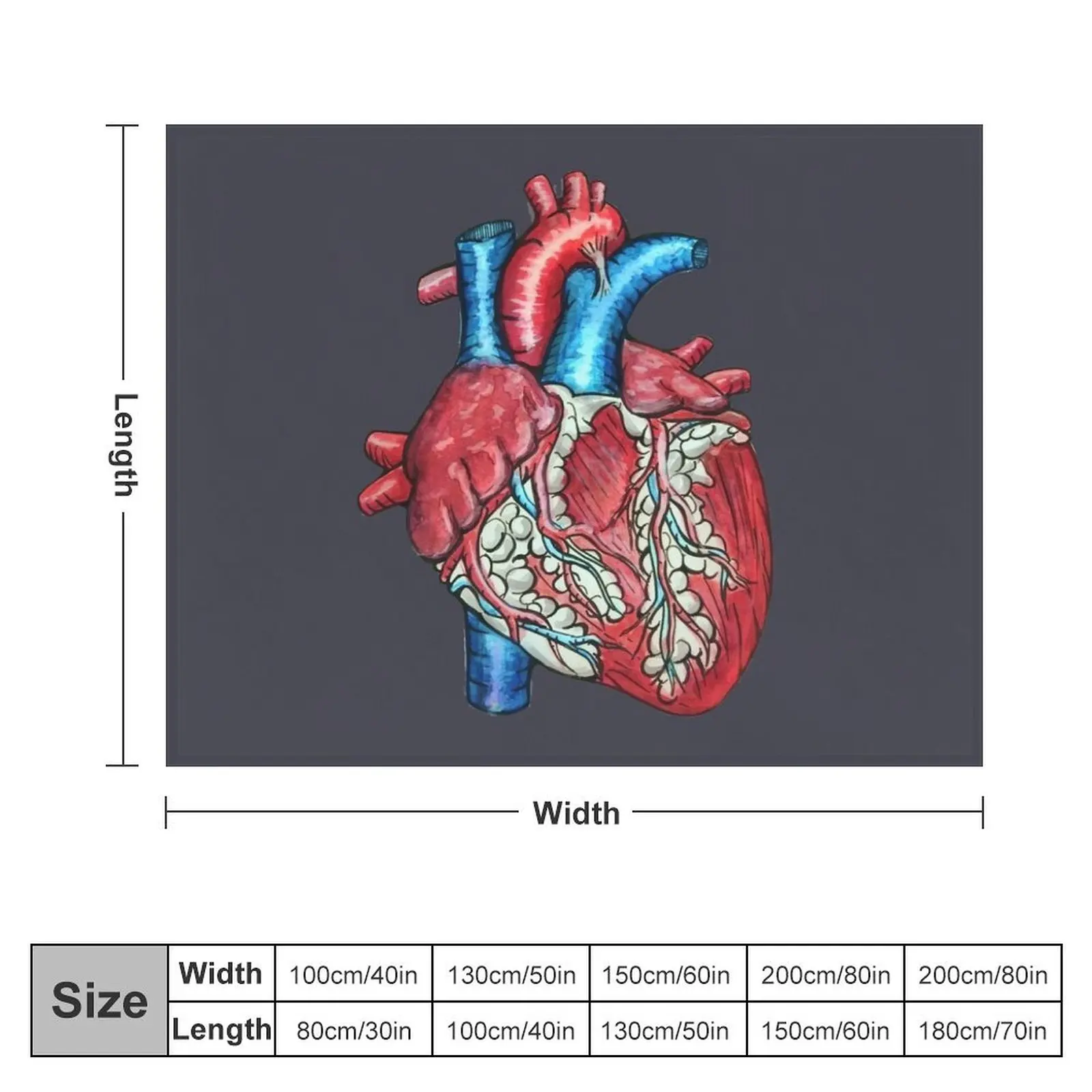 Anatomical human heart Throw Blanket Personalized Gift Vintage Blankets