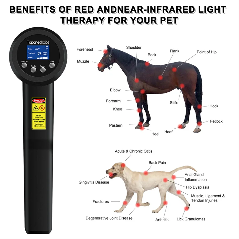 GOOD Class IV 8W High Power Red Light Laser Therapy Machine for Equine Body Pain Relief Arthritis Rheumatism Rehabilitation