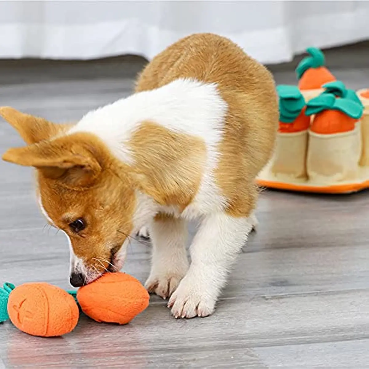 

Dog Toy Puzzle Training and Slow Feeding Toys Plush Carrot Increase Smell Puzzle Toys Training Iq Pet Products Interactive Games