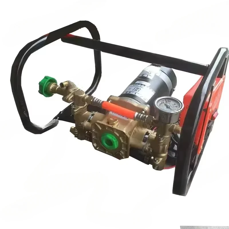 12V Portable Spraying High-Pressure Double-Cylinder Plunger Pump Agricultural Electric Sprayer Pump