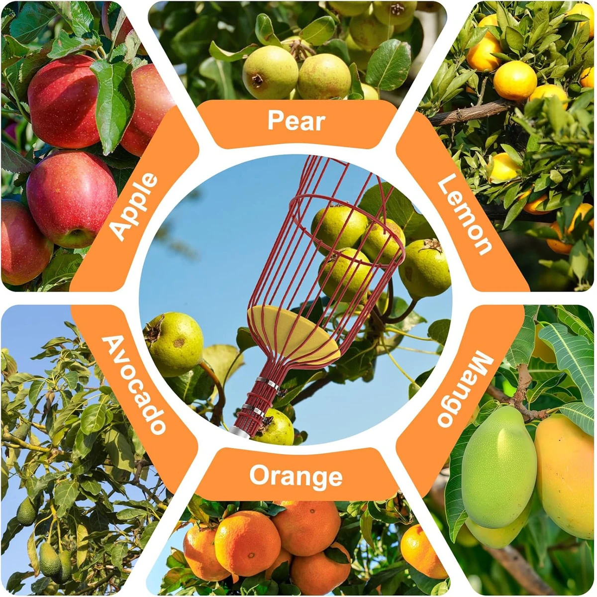 Fruit Picking Picker High Altitude Telescopic Collector Pick Up Garden Tools Collect Gardening Fruits