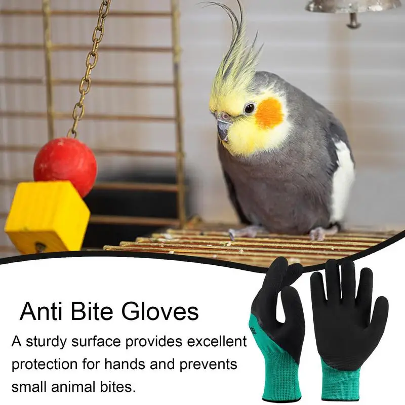 Guantes resistentes a mordeduras para mascotas, protección de manos gruesa antiarañazos, asistente de entrenamiento para mascotas para gatos, perros, ardillas, hámsteres y pájaros