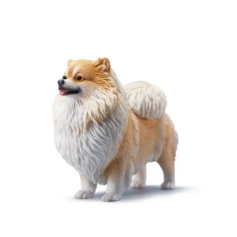 Pomeranian จําลอง JXK 12 นิ้วสุนัขรุ่นประณีตและกะทัดรัดสัตว์เลี้ยงสุนัขรุ่น Figurie พร้อมตุ๊กตาสี่สี