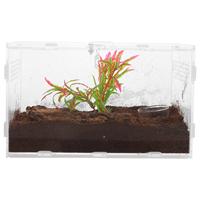 Transparent Terrarium Frog Tank Reptile Terrariums Snake Cage Lizard Spider Enclosure
