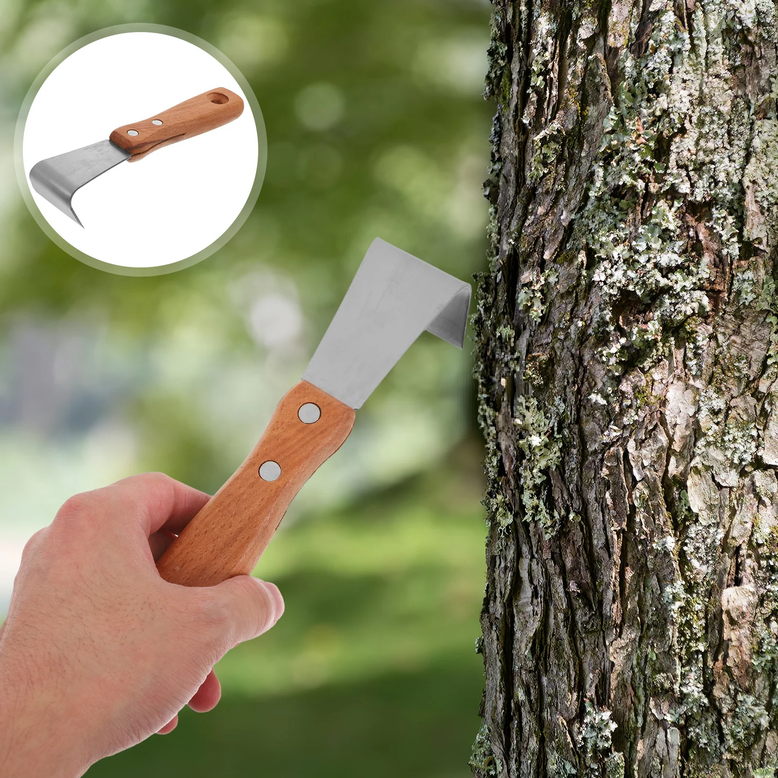 

4Pcs Gardening Bark Scraper Tool Ergonomic Handle Manual Tree Debarker for Fruit Tree Bark Removal and Pruning