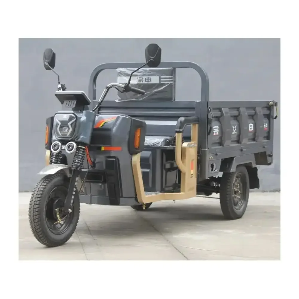 

1000W Motor Three Wheels Cargo Electric 3 Wheel Motorcycle Price Tricycle for Adult