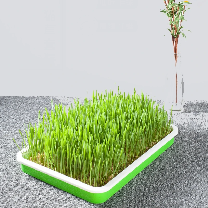 

Soilless Seedling Tray for Cat Dog Rabbit Pet Grass Water Planting Nursery Plate Hydroponics Seeded Bed Float Grow Sowing Spout