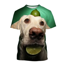 Labrador Dog T-Shirts Animal 3D Print Streetwear Men Women Casual Fashion Oversized Short Sleeve T Shirt Kids Tees Tops Clothing