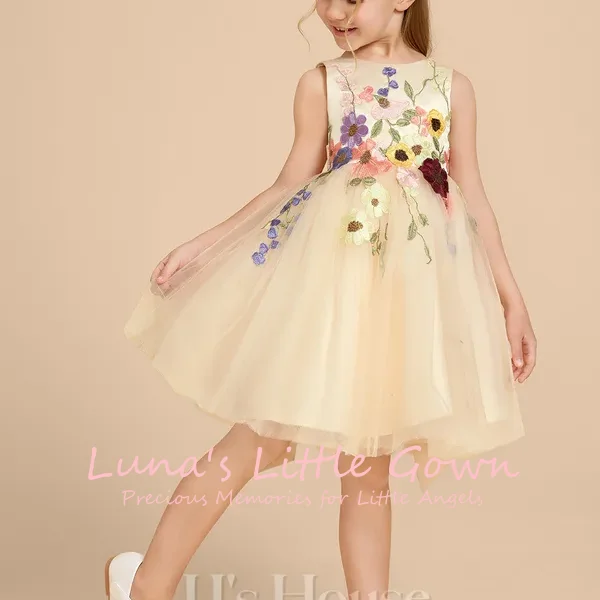 

Sleeveless Round Neck Flower Girl Dress For Wedding Birthday Pageant Colorful Floral Embroidery Puffy Tulle Custom