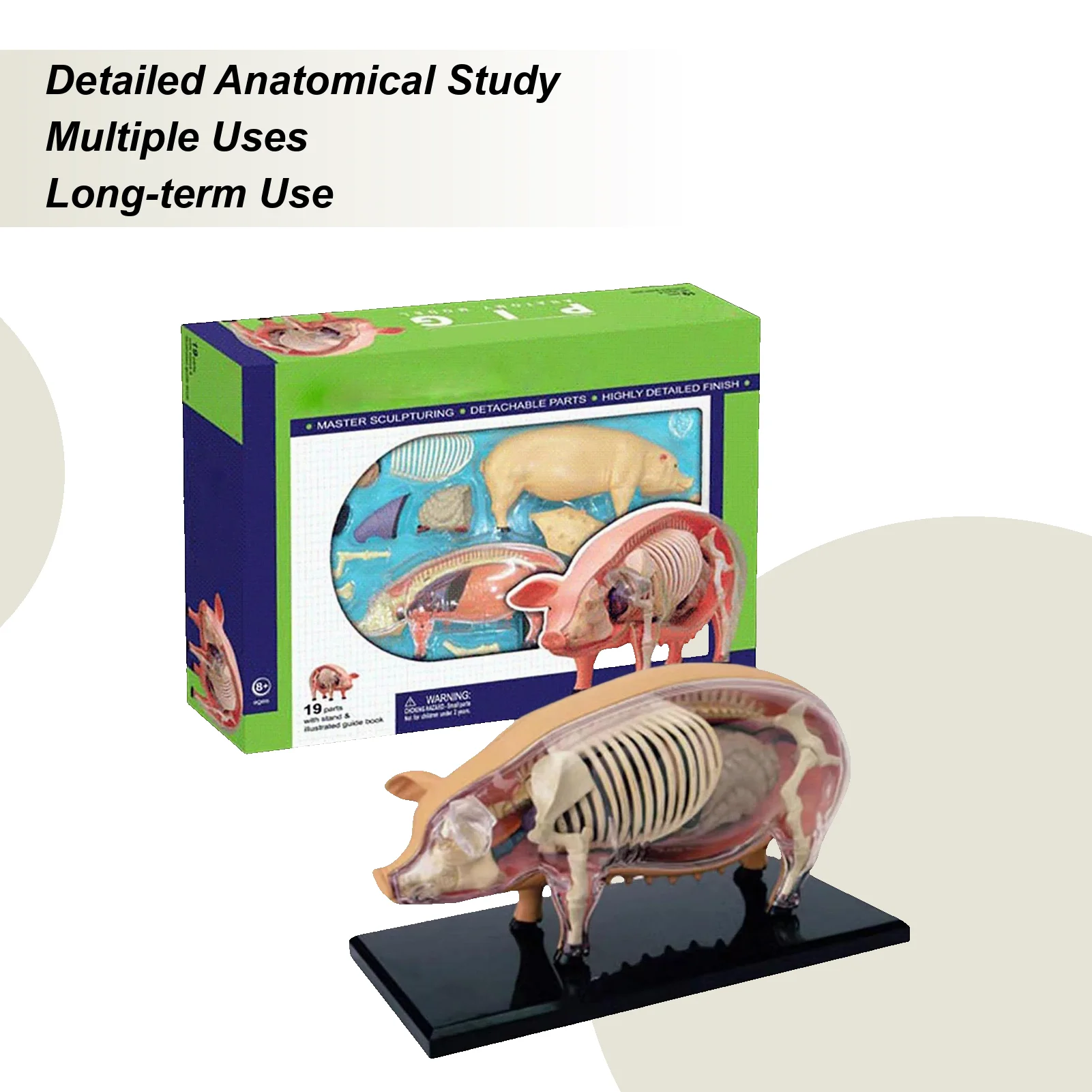 Modelo de anatomia do suíno destacável-idiílio de ensino de biologia veterinária brinquedo de demonstração científica destacável para clínicas de animais de estimação em sala de aula