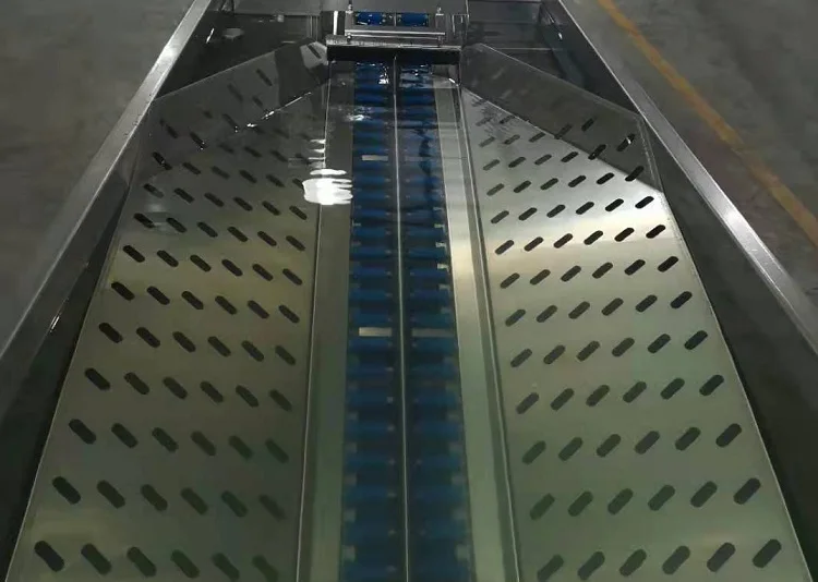 FOODLINE Commercial Egg Washer Machine High Cleaning Efficiency For Fresh Chicken Egg Surface Decontamination