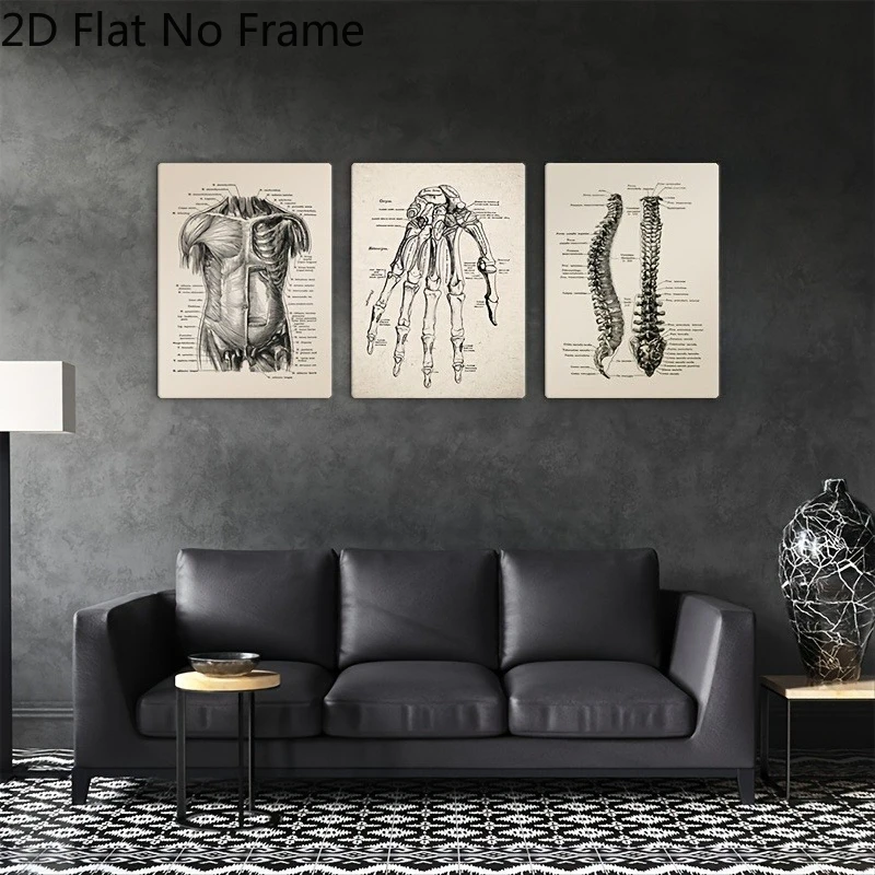 （Noframe 3PCS）-2D Flat, 3pcs Frameless 2D Flat Human Anatomy Science Art Decorative Canvas Paintings, Vintage Style Wall Art