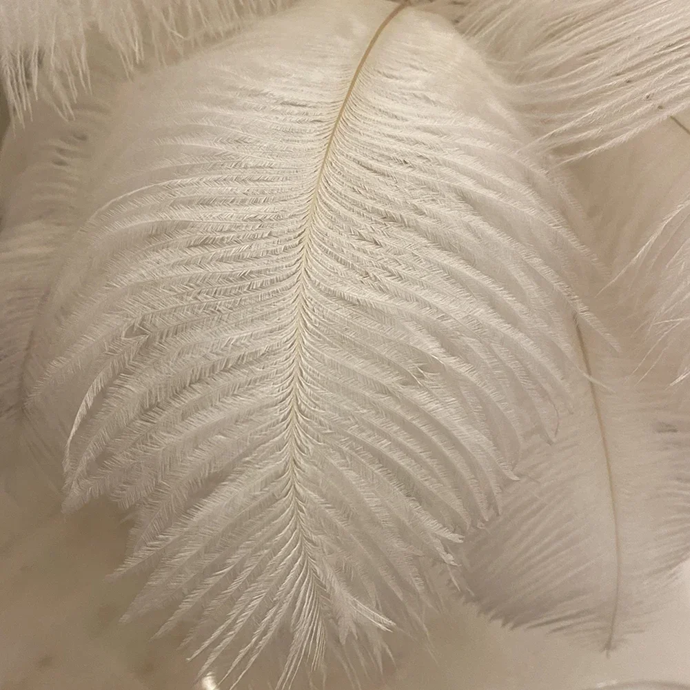 2024 New Touch Control Table Feather Lamp for Wedding Bedroom Decoration LED Desk Lamp with Feathers USB Power Rechargeable