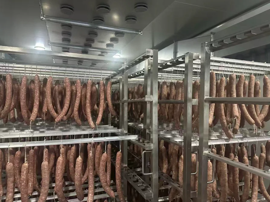 Sausage & Fermented Meat Production Line: Smart Temp/Humidity Control, Remote Monitoring, 304 Stainless Steel, Full Plant Design