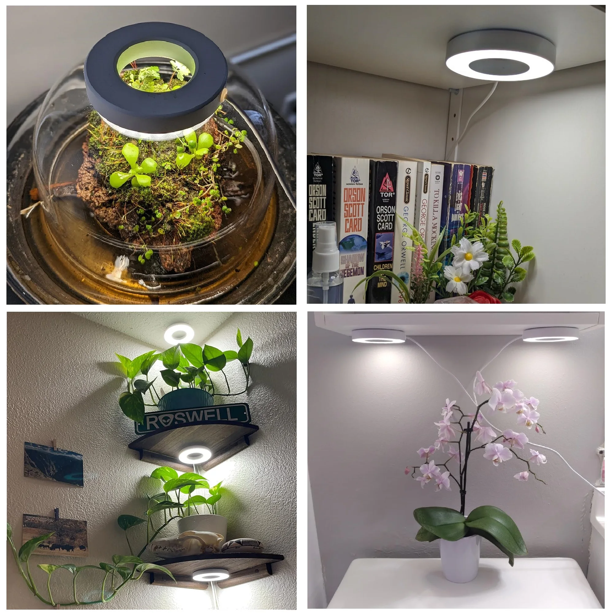 Imagem -04 - Borrowled Ceiling Grow Light para Plantas de Interior Full Spectrumhalo Plant Light Lâmpada Crescente com Temporizador Automático Temporizador 12h