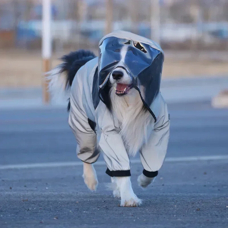 Dog Raincoat Small Big Large Dog Waterproof Clothing Poodle Border Collie Samoyed Husky Labrador Golden Retriever Clothes Outfit