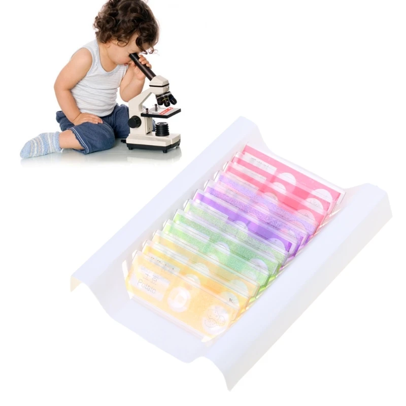 12/48Pcs Microscope Slides Lens Biology Plant Flower Animals Sample for Children Home School Science Educational