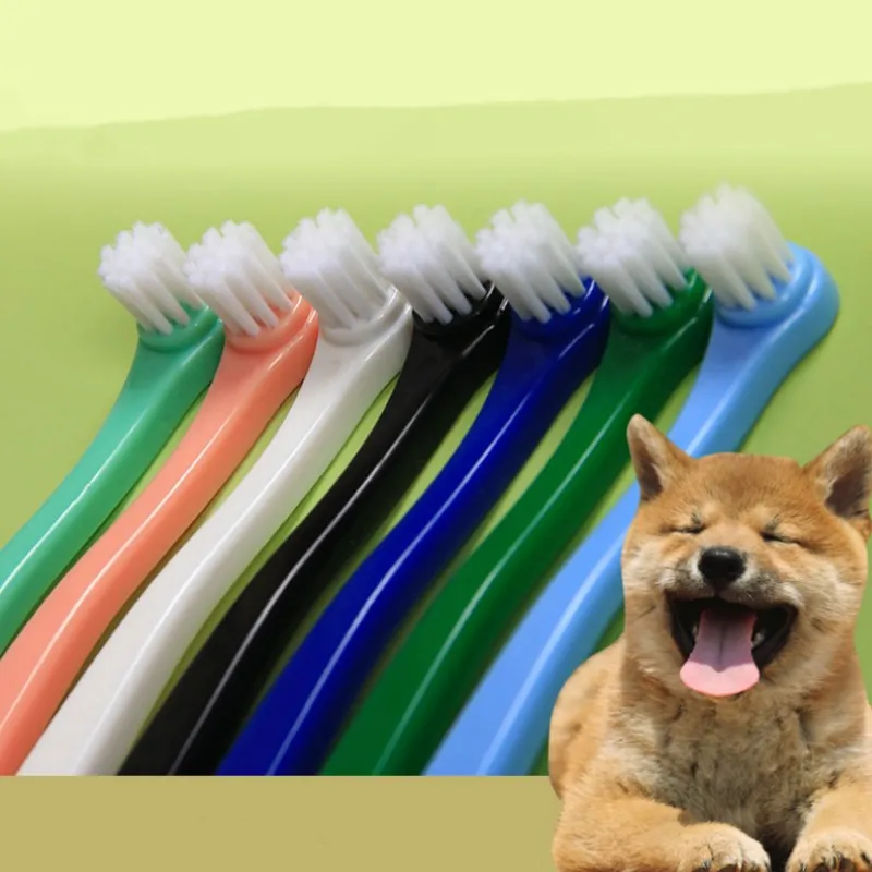 Brosse à dents à petite tête pour animaux de compagnie, chien, chien, livres de dents, soins bucco-dentaires, chiot, long manche, chat, brosse à