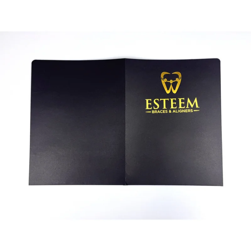 

Размер буквы США, золото, серебро, штамповка, 2 кармана, черная папка для презентаций