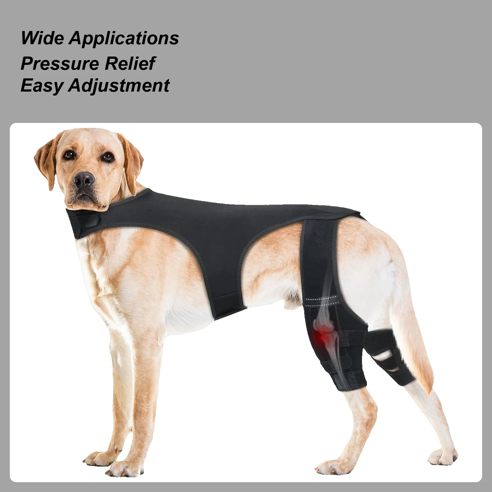 

Dog Knee Brace Adjustable Joint Wrap Dog Rear Leg Brace With 4 Metal Stabilizers For Hiking Exercise Outdoor Activities Park