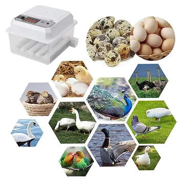 10 最佳銷售 育雛器 - №6