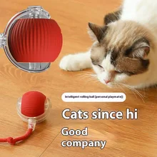 Interactive Cat Toy Ball Super Drive Cat Rolling Balls with Bird Chirping Motion Activated Sensor Pet Kitten Teaser Game Toys