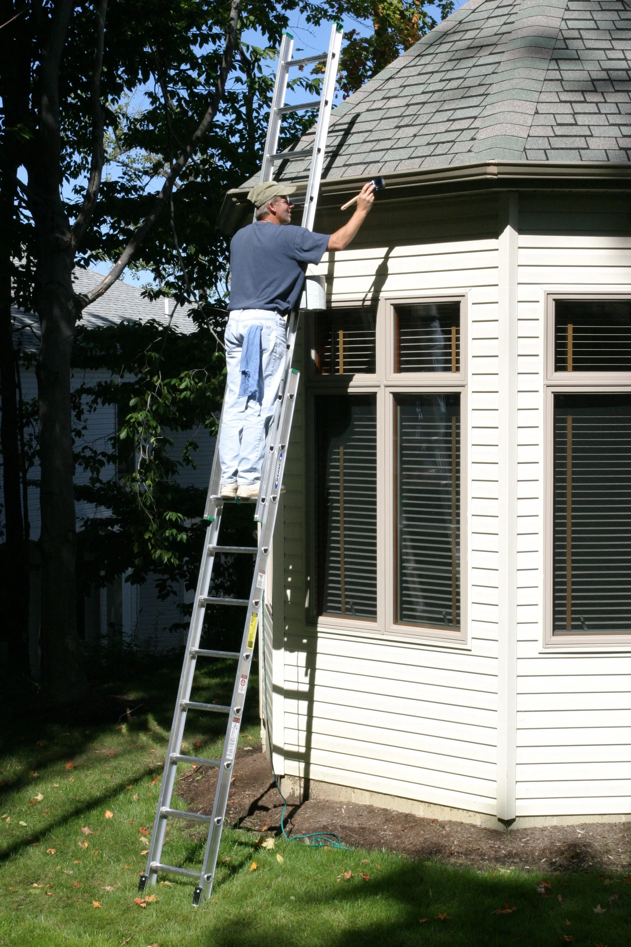 WERNER  20 ft Type II Aluminum D-Rung Extension Ladder D1220-2