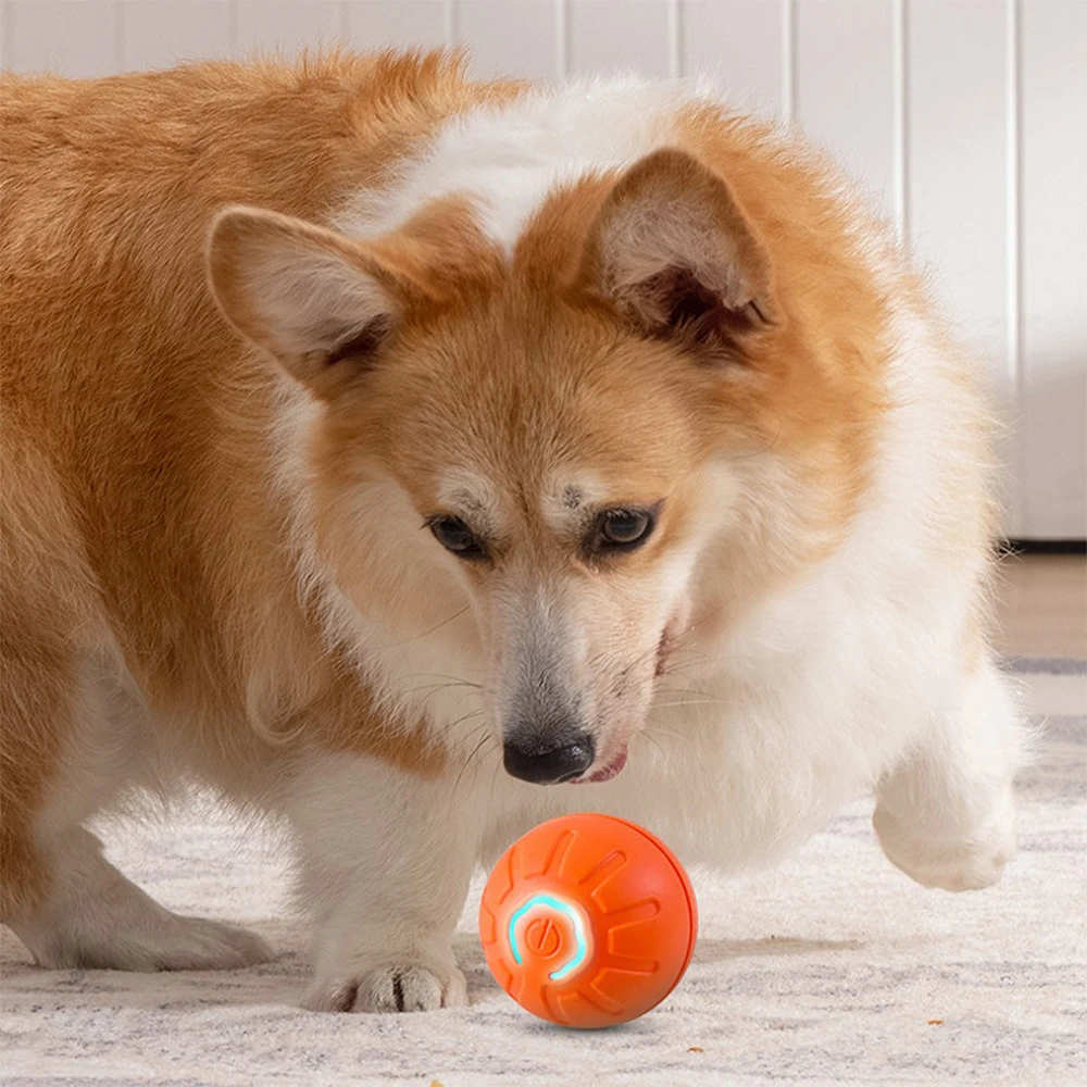 Smart Dog Toy Ball Electronic Interactive Pet Toy Moving Ball Automatic Jump Roll Ball for Puppy Birthday Gift Dog Cat Product