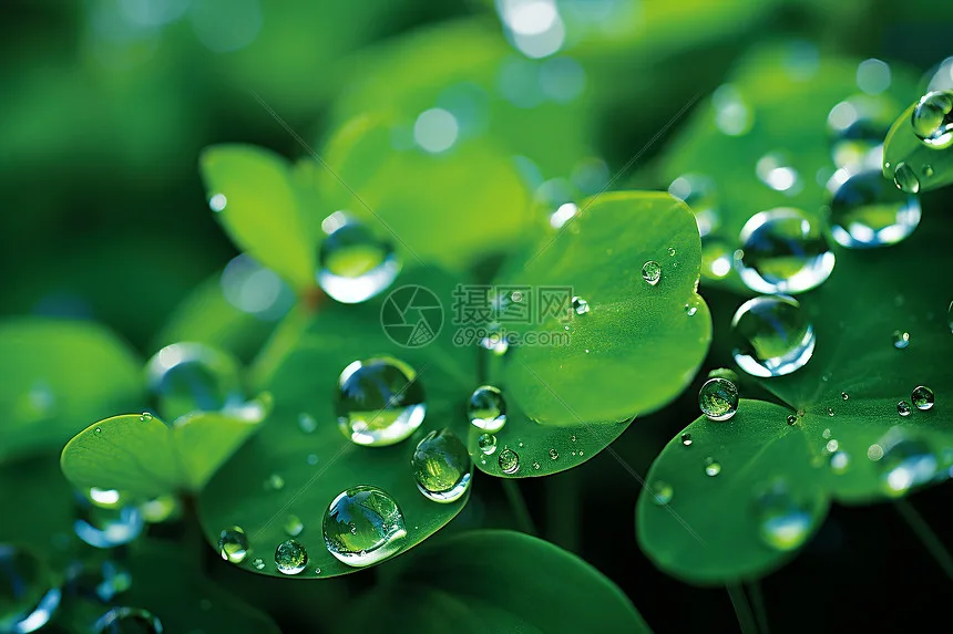 Weili remote control car modification and upgrade accessories off-road tires 144001 124008 model RC124017