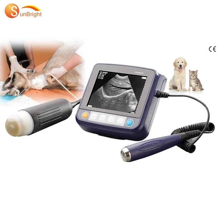 cheap vet ultrasound device Mechanical sector probe Scanner machine